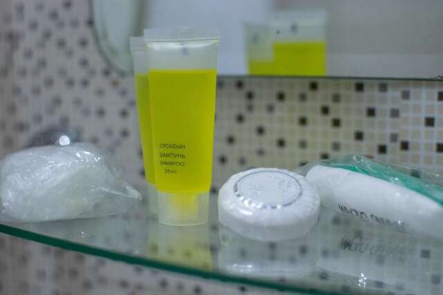 Отель Hotel Saya Алматы-52